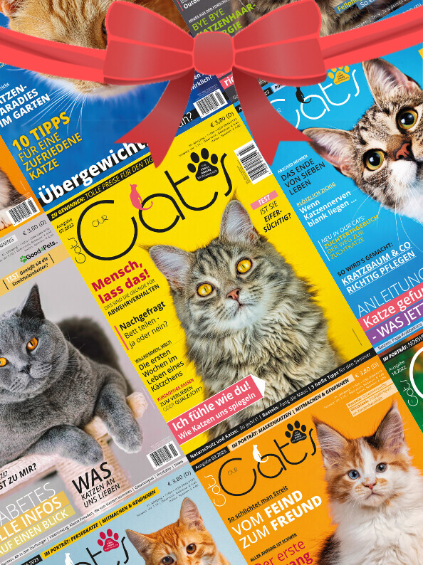 Our Cats Geschenk-Abonnement (12 Ausgaben)