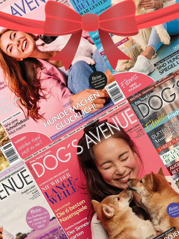 Dog´s Avenue Geschenk-Abonnement (6 Ausgaben)