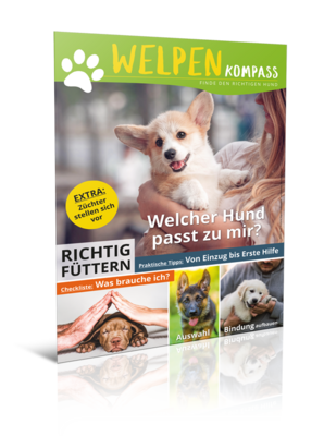 Welpenkompass (Digital, Einzelheft)