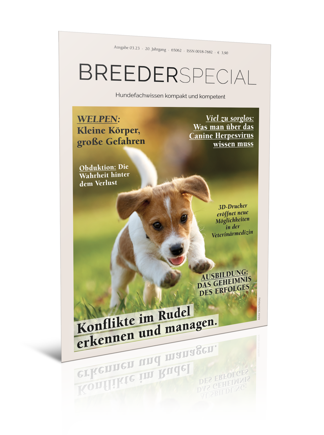 BreederSpecial 3.2023 (Print, Einzelheft)