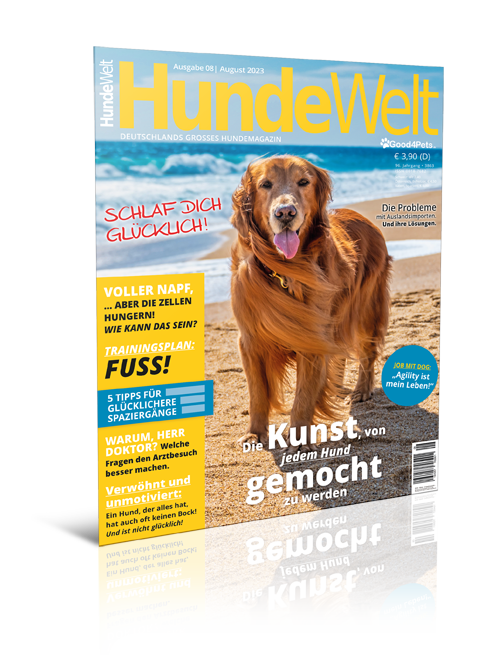HundeWelt 08.2023 (Print, Einzelheft)