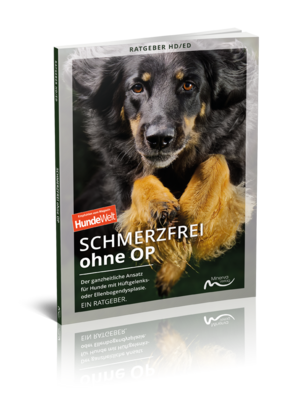 Schmerzfrei ohne OP (Digital/PDF, Buch) Schmerzfrei ohne OP (Digital/PDF, Buch)