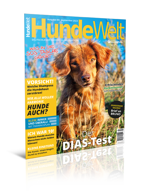 HundeWelt 09.2023 (Digital, Einzelheft)