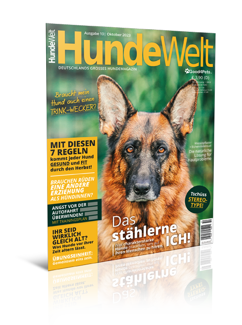 HundeWelt 10.2023 (Digital, Einzelheft)
