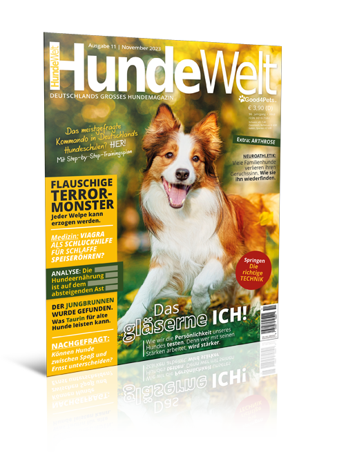 HundeWelt 11.2023 (Print, Einzelheft)