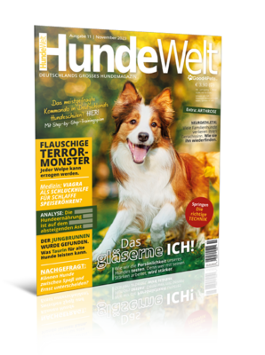 HundeWelt 11.2023 (Print, Einzelheft) HundeWelt 11.2023 (Print, Einzelheft)