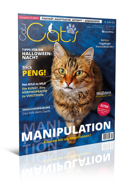 Our Cats 11.2023 (Print, Einzelheft)