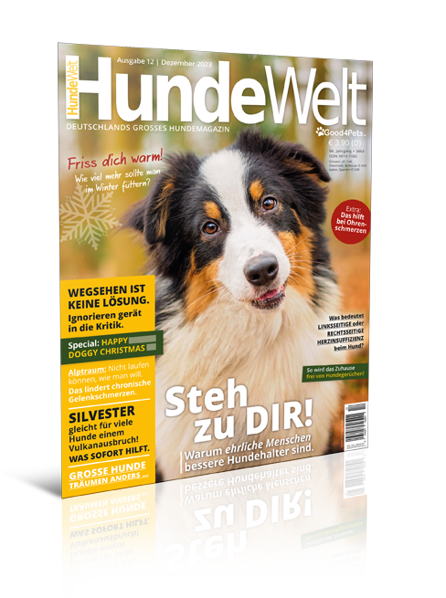 HundeWelt 12.2023 (Print, Einzelheft)