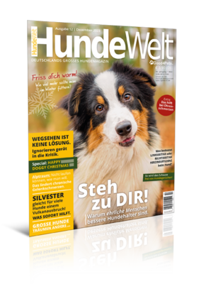 HundeWelt 12.2023 (Digital, Einzelheft) HundeWelt 12.2023 (Digital, Einzelheft)