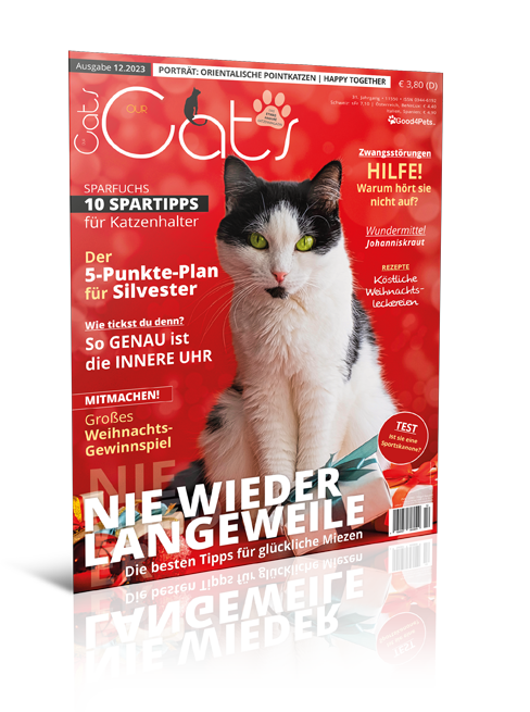 Our Cats 12.2023 (Print, Einzelheft)