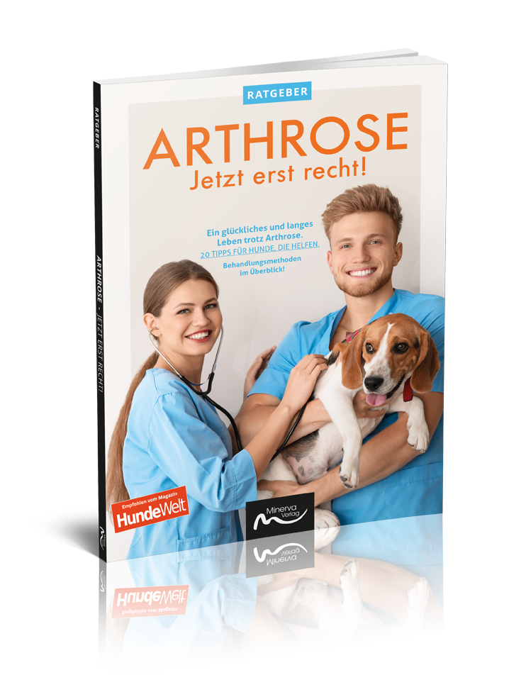 Arthrose - Jetzt erst recht! (Print, Buch)