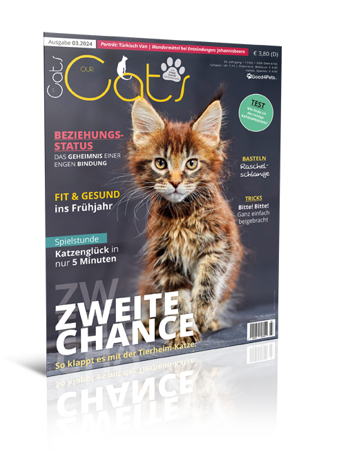 Our Cats 03.2024 (Print, Einzelheft)