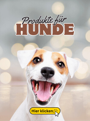 Rund um HUNDE