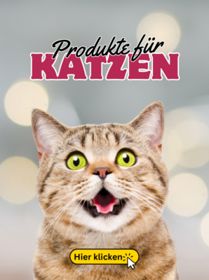 Rund um KATZEN