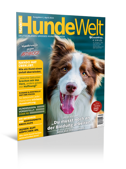 HundeWelt 04.2024 (Print, Einzelheft)