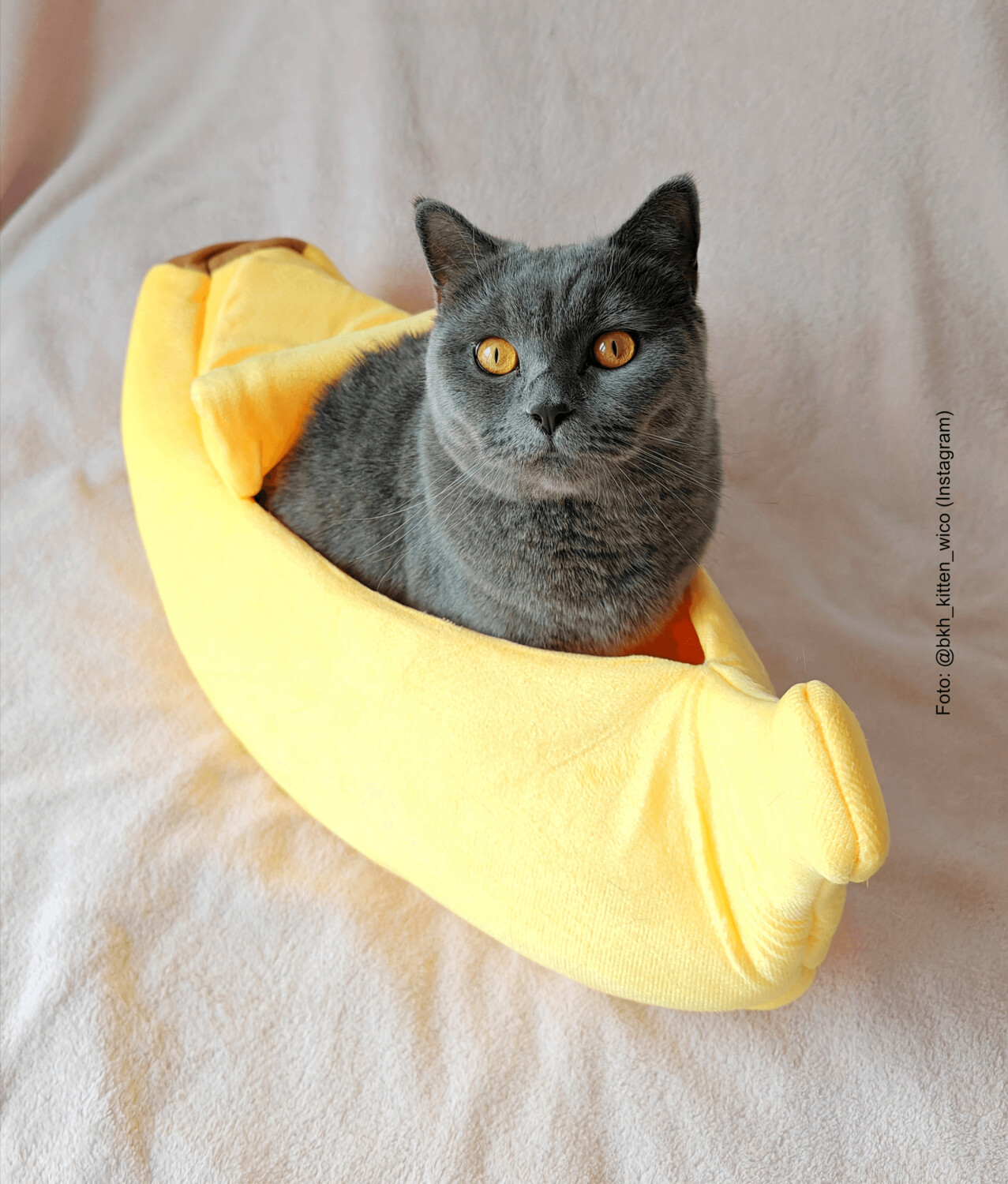 Bananen-Bett für Katzen und kleine Hunde (bis 5 kg)