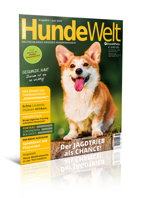 HundeWelt 06.2024 (Print, Einzelheft)