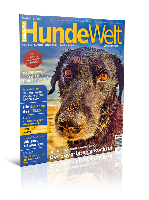 HundeWelt 07.2024 (Print, Einzelheft)