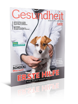 Ratgeber Gesundheit (Digital, E-Book - PDF)