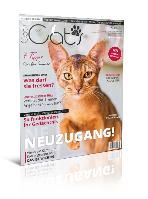 Our Cats 08.2024 (Digital, Einzelheft)