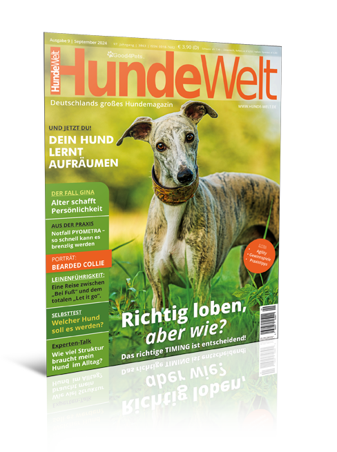 HundeWelt 09.2024 (Print, Einzelheft)