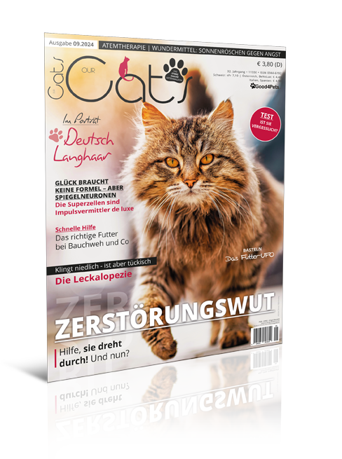 Our Cats 09.2024 (Print, Einzelheft)