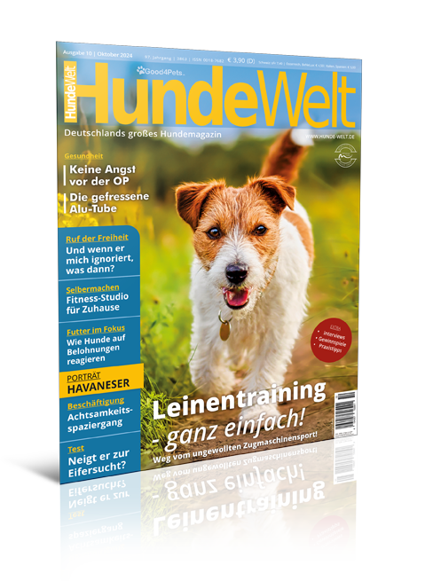 HundeWelt 10.2024 (Print, Einzelheft)