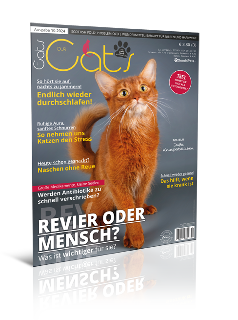 Our Cats 10.2024 (Digital, Einzelheft)