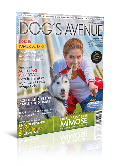 Dog´s Avenue 6.2024 (Print, Einzelheft)