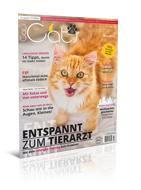 Our Cats 12.2024 (Print, Einzelheft)