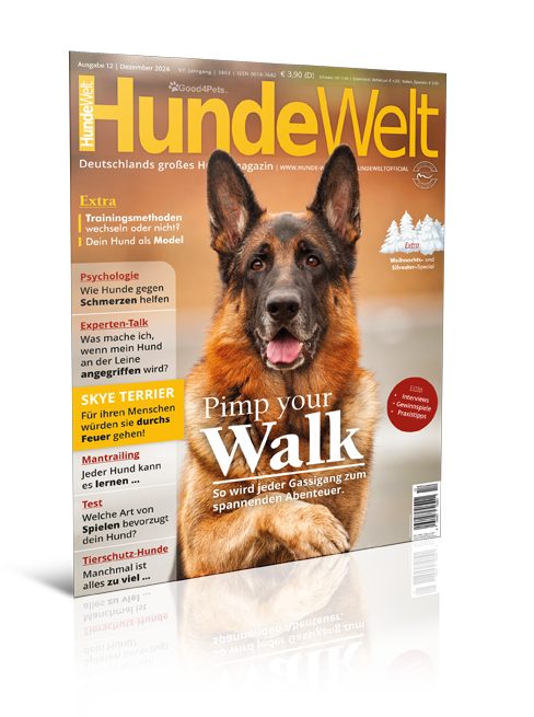 HundeWelt 12.2024 (Print, Einzelheft)