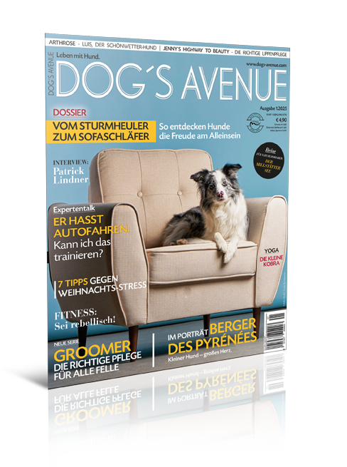 Dog´s Avenue 1.2025 (Print, Einzelheft)