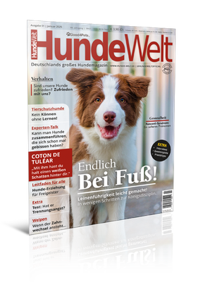 HundeWelt 01.2025 (Print, Einzelheft) HundeWelt 01.2025 (Print, Einzelheft)