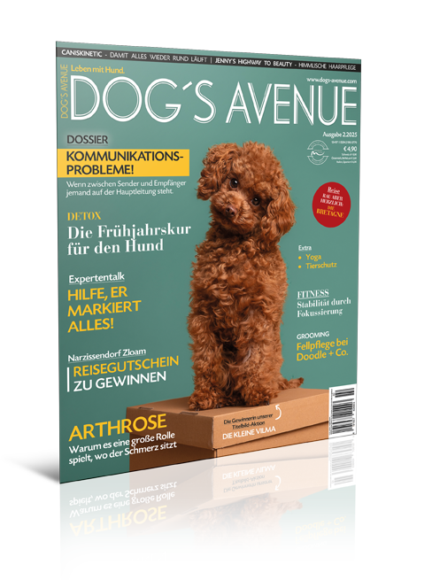 Dog´s Avenue 2.2025 (Digital, Einzelheft)