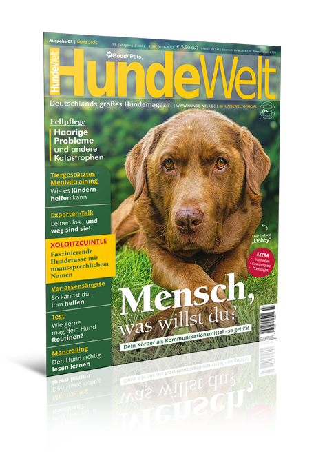 HundeWelt 03.2025 (Print, Einzelheft)