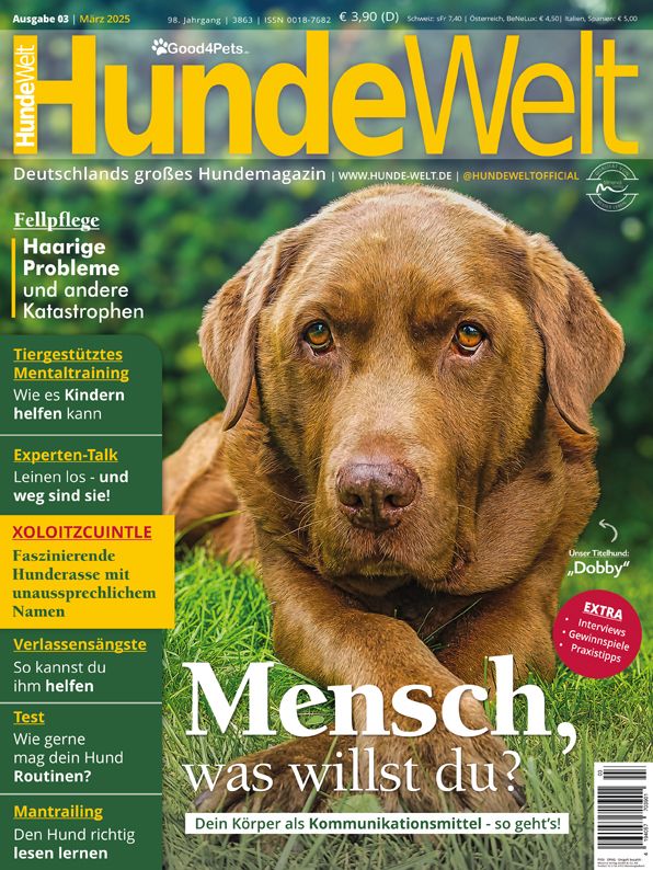 HundeWelt 03.2025 (Print, Einzelheft)