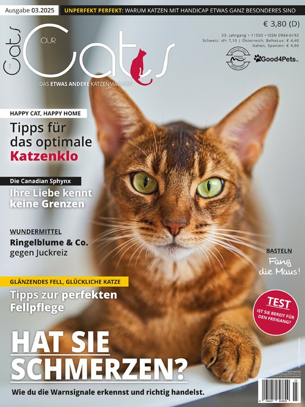 Our Cats 03.2025 (Print, Einzelheft)