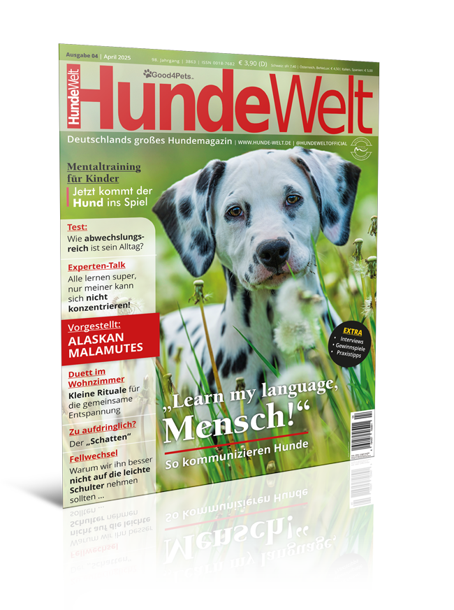 HundeWelt 04.2025 (Print, Einzelheft)