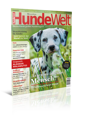 HundeWelt 04.2025 (Print, Einzelheft) HundeWelt 04.2025 (Print, Einzelheft)