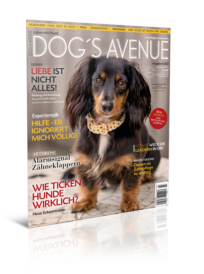 Dog´s Avenue 3.2025 (Print, Einzelheft)