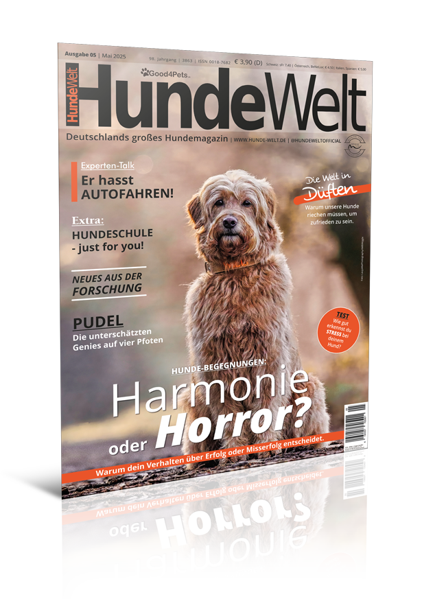 HundeWelt 05.2025 (Print, Einzelheft)