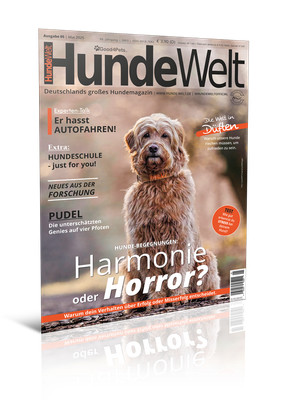 HundeWelt 05.2025 (Print, Einzelheft) HundeWelt 05.2025 (Print, Einzelheft)