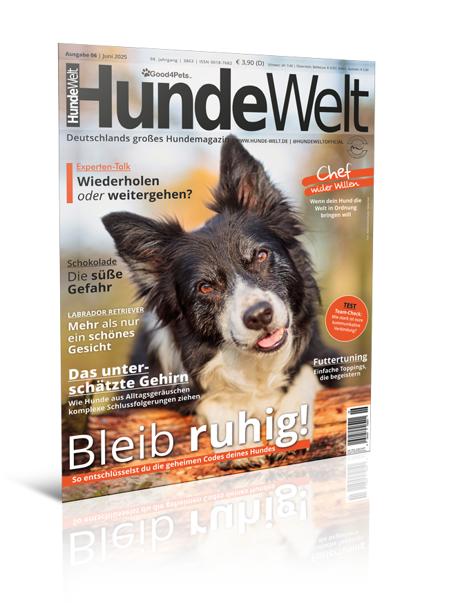 HundeWelt 06.2025 (Print, Einzelheft)