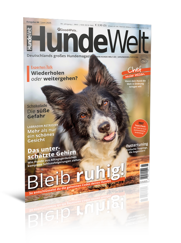 HundeWelt 06.2025 (Print, Einzelheft) HundeWelt 06.2025 (Print, Einzelheft)