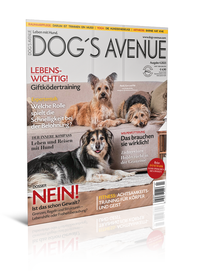 Dog´s Avenue 4.2025 (Digital, Einzelheft)