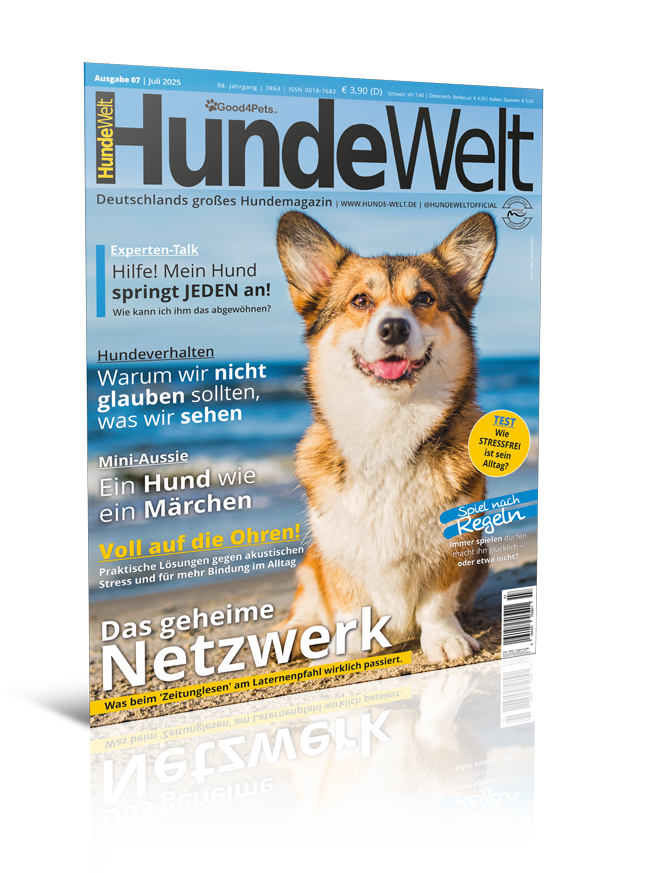 HundeWelt 07.2025 (Print, Einzelheft)