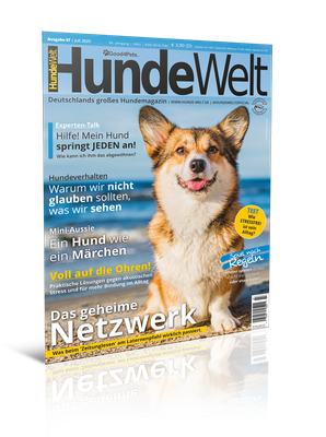 HundeWelt 07.2025 (Print, Einzelheft) HundeWelt 07.2025 (Print, Einzelheft)
