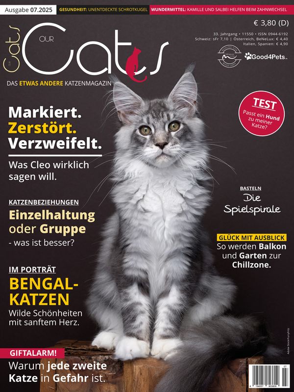 Our Cats 07.2025 (Print, Einzelheft)