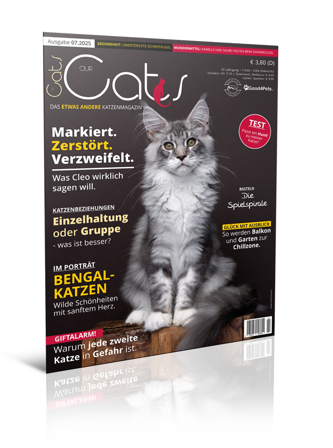 Our Cats 07.2025 (Print, Einzelheft)