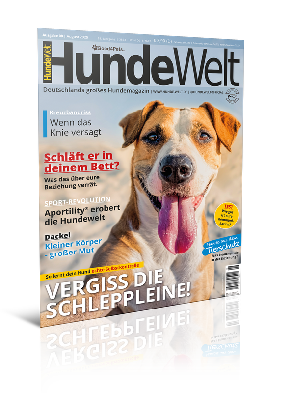 HundeWelt 08.2025 (Print, Einzelheft) HundeWelt 08.2025 (Print, Einzelheft)